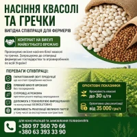 Насіння квасолі та гречки з контрактом на викуп врожаю