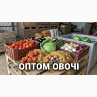Куплю КАПУСТУ в обʼємі