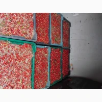 Брусніка карпати продам