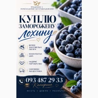 Куплю лохину, розрахунок відразу