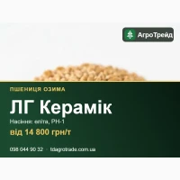 ЛГ Керамік - озима пшениця Limagrain: посівне насіння еліта, РН-1, від 14 800 грн/т