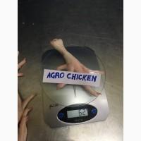 Куриная лапа класс Б(chicken paw grade В)