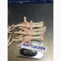 Куриная лапа класс Б(chicken paw grade В)