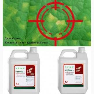 Системні фунгіциди профілактичної та лікувальної дії