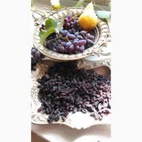 Продам изюм, сорт Кишмиш Юпитер