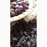 Продам изюм, сорт Кишмиш Юпитер