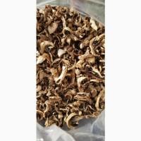 Продам сушені шампіньйони (печериці)