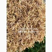 Продам гарний тютюн! Імпортний лист (Голд/Вірджинія/Берлі)