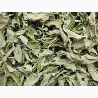 Топінамбур листя сушене