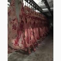 Фото 2. Продам продукцию из говядины от производителя с 20 тонн. Кроме Европи