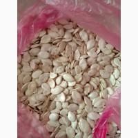 Продам насіння гарбуза. Сіро-воложськаОбъем -1 т, Дніпропетровська обл