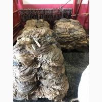 Продам говяжу книжку