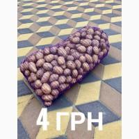 Продам картошку