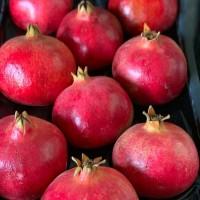 Прямые оптовые продажи Апельсина из Турции