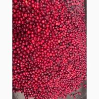 Продам морожену вишню