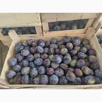 Продаж, доставка яблук, сливи