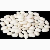 Приймаємо різні сорти квасолі на переробку