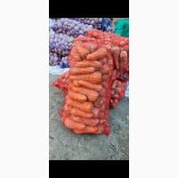 Продам моркву