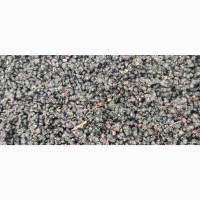 Бузина чорна сушена