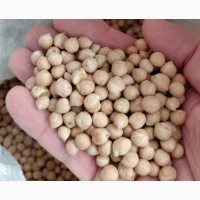 Продам нут не калиброванный, чечевица красная