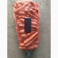 Продам гуртом моркву, нанский тип
