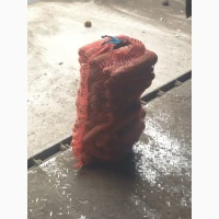 Продам гуртом моркву, нанский тип