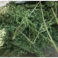 Куплю сушене зелене морквяне листя