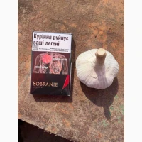 Продам чеснок