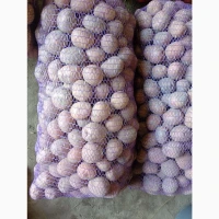Продам середню картоплю