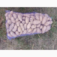 Продам товарну картоплю, сорт Пікассо, Есмі, Арізона, Гранада