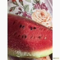 Продам арбуз Волгоград
