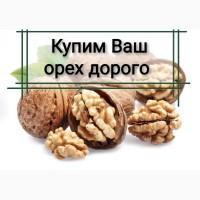 Куплю грецкий орех