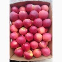 Продам Яблука з Молдови в/гат, в Закарпатті смт Буштино