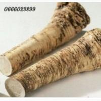 Продам корень хрен а, хрін, хрон