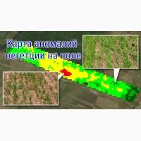 Cоздание карт проблемных участков на полях, на основе оперативных космоснимков