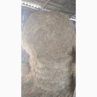 Продам вівсяну солому