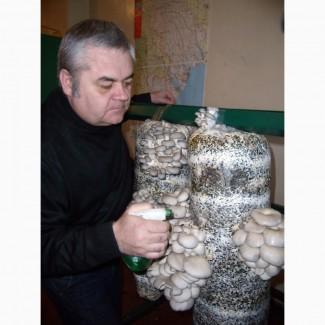 Грибы. Вешенка. Мицелий. Стартовый набор для начинающих