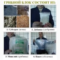 Грибы. Вешенка. Мицелий. Стартовый набор для начинающих