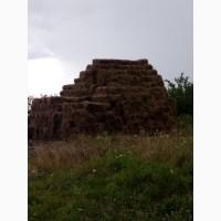 Продам дешево тюки сіна