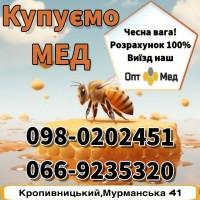 ОПТ-МЕД закуповуємо мед у населення. ОПТ-МЕД
