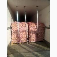 Картопля молода Греція