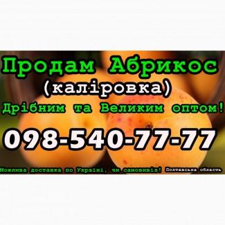 Продам Абрикос (калировка) за договірною ціною на постійній основі