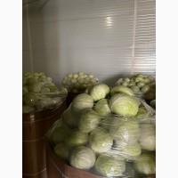 Продамо капусту білоголову