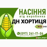 Гібрид кукурудзи ДН Хортиця (ФАО 240). Насіння від виробника