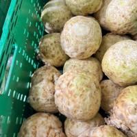 Продам стебло селери