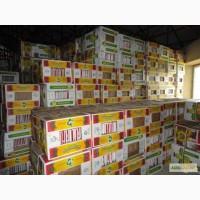 Продам банановые ящики и ящик пластиковый скалдной ОРТУС
