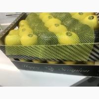 Продаем Лимон Испания