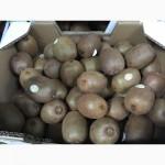 Продаем киви из Испании