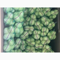Продам капусту сорт Агрессор