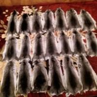 Продам шкурки шиншилл